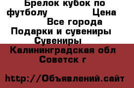 Брелок кубок по футболу Fifa 2018 › Цена ­ 399 - Все города Подарки и сувениры » Сувениры   . Калининградская обл.,Советск г.